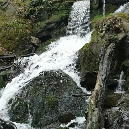 Luxurioese Penthousewohnung Mit Fernblick Und Vielen Wanderwegen * Melsbach