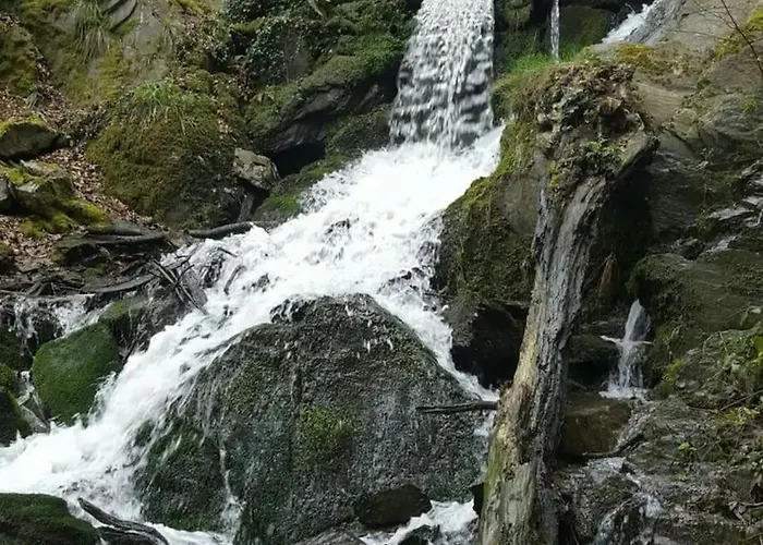 Luxurioese Penthousewohnung Mit Fernblick Und Vielen Wanderwegen * Melsbach